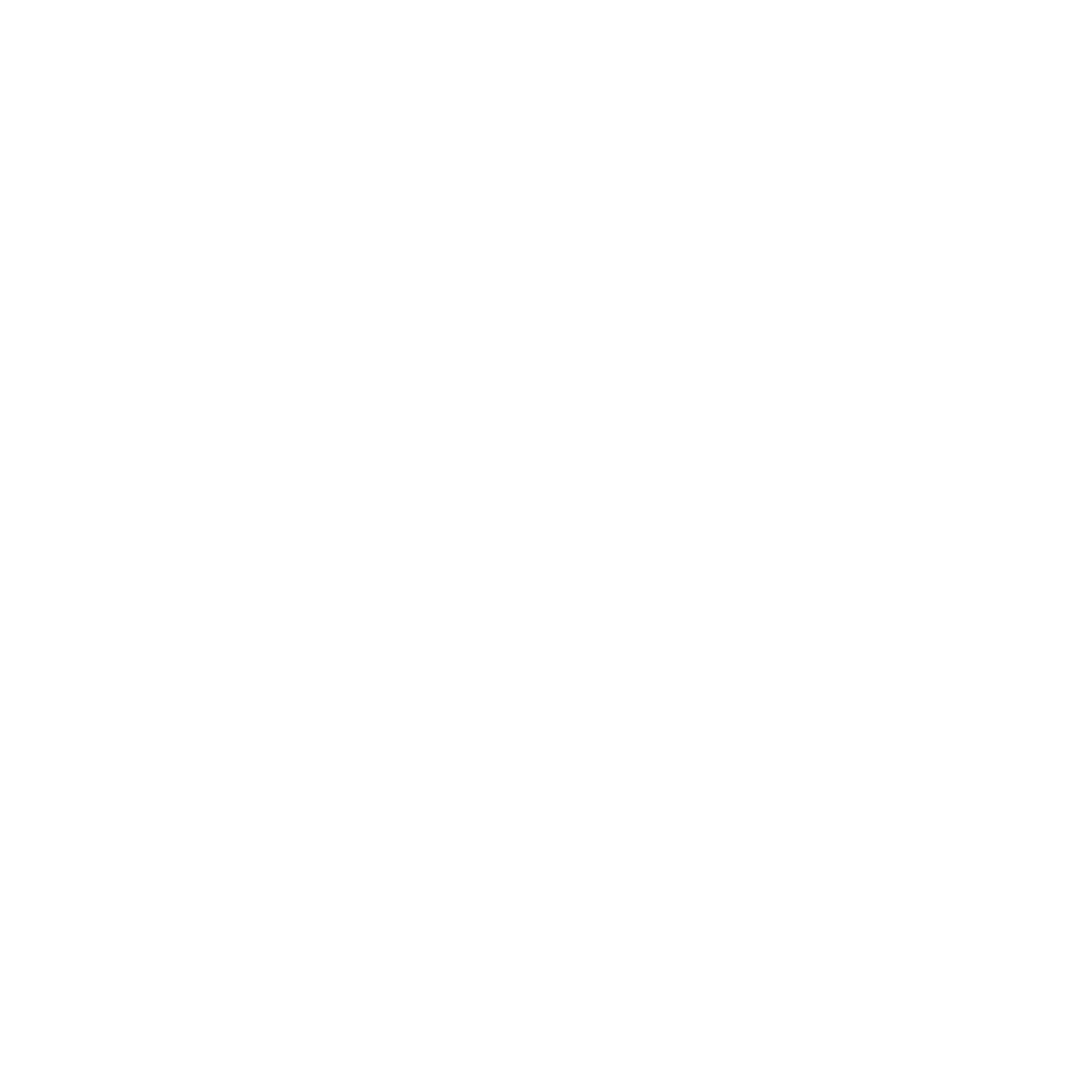 Epicor Services Partner Logo White